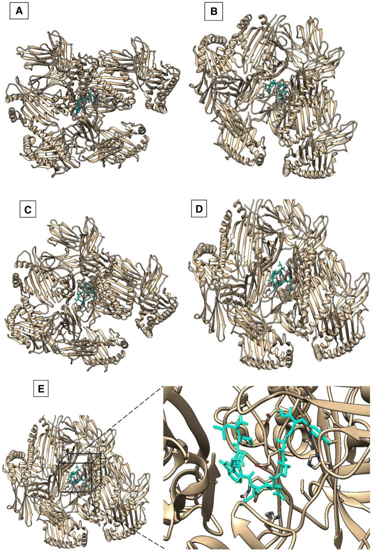 Fig. 3