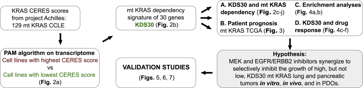 Figure 1