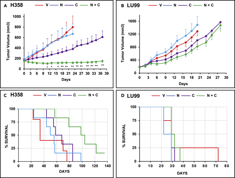 Figure 6