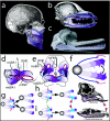 Figure  6.