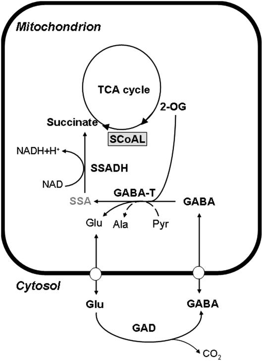 Figure 8.