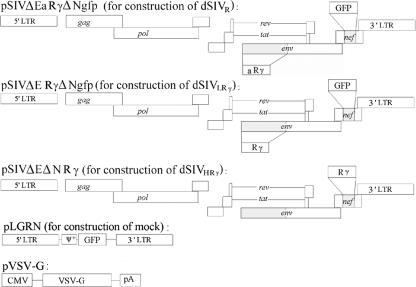 FIG. 1.