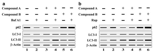 Fig. 9.5