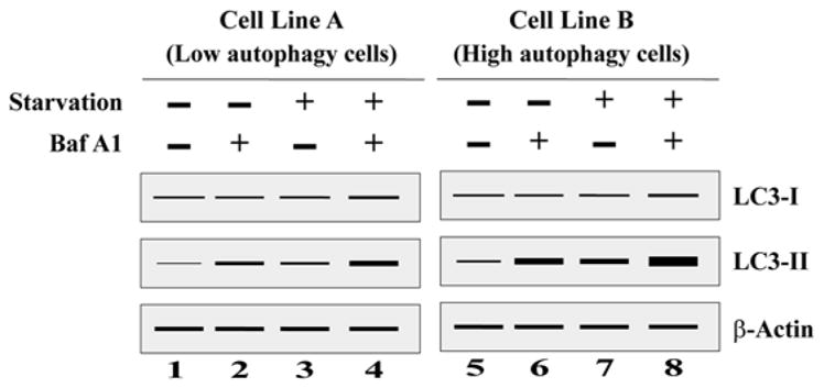 Fig. 9.3