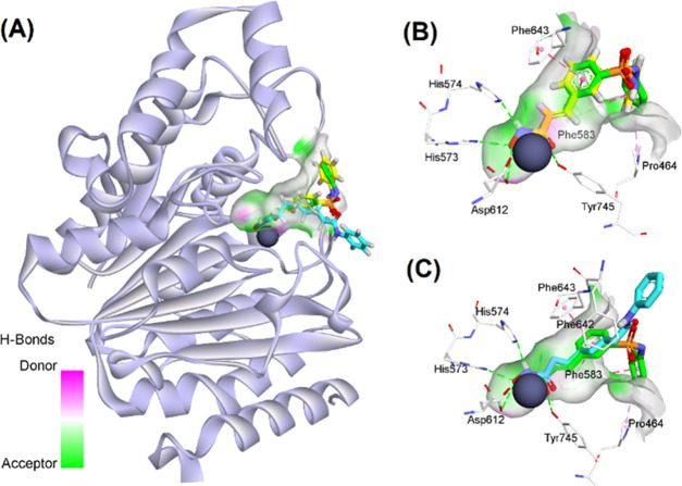 Figure 6