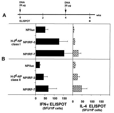 FIG. 6.