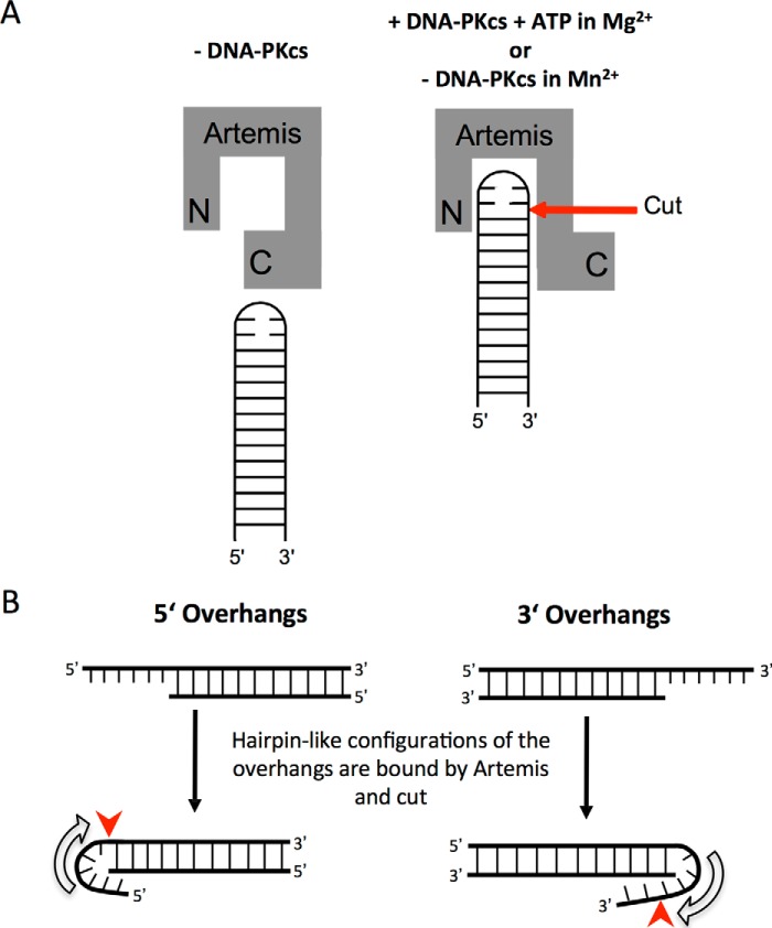 FIGURE 10.