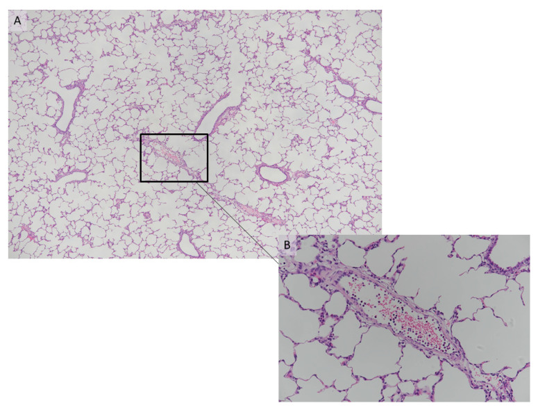 Figure 8