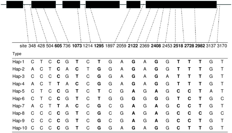 Fig 1