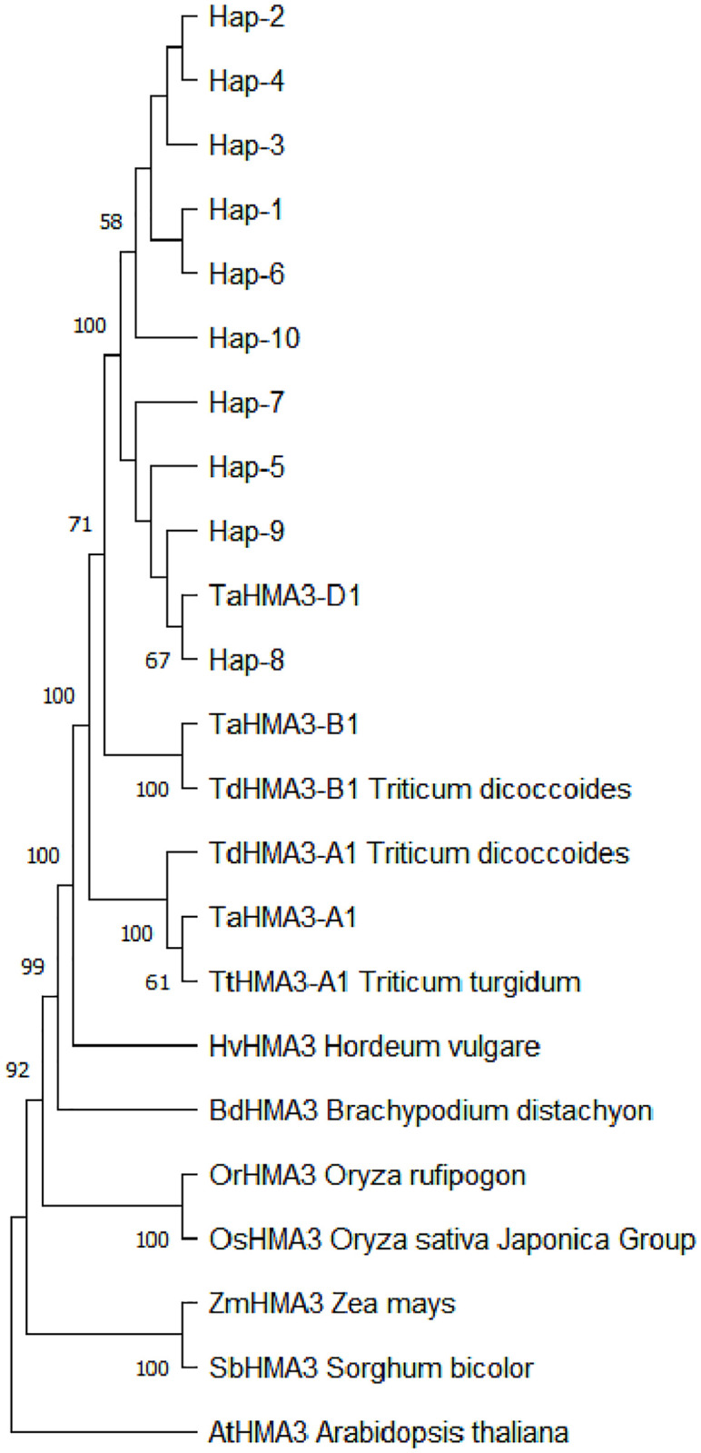 Fig 3