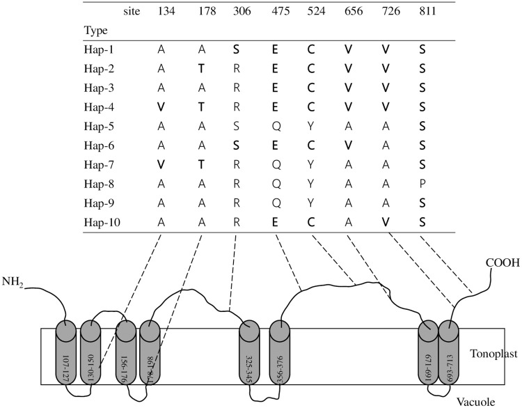 Fig 2