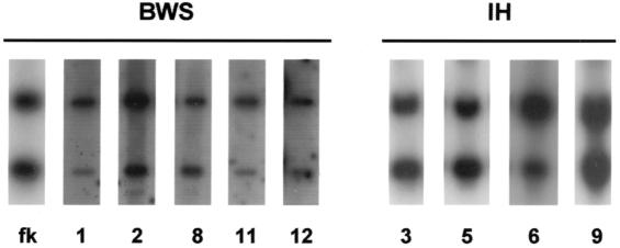 Figure  1