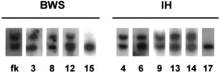 Figure  2