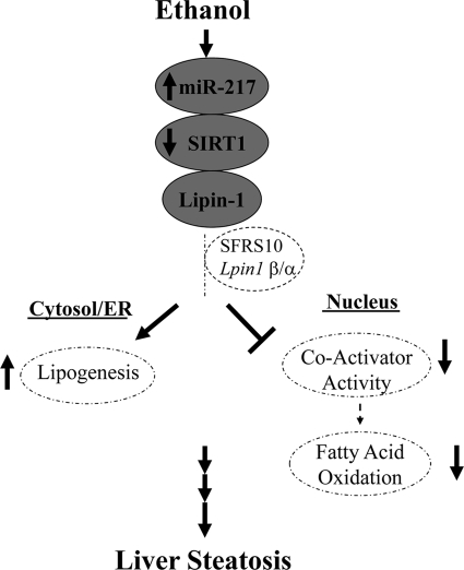 FIGURE 10.