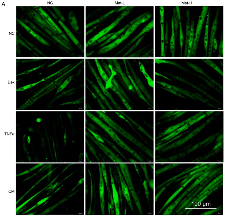 Figure 6.