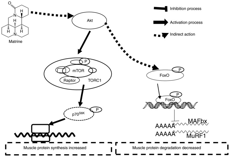 Figure 9.