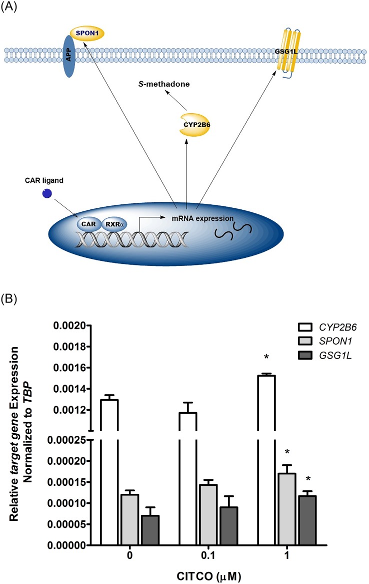 Fig 6