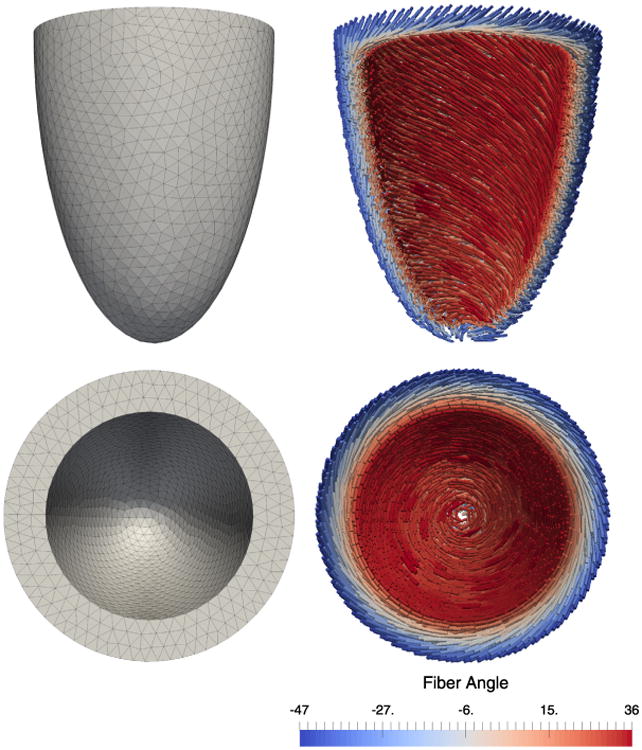 Fig. 11