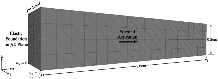 Fig. 8