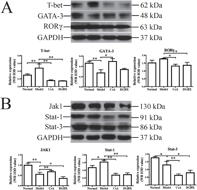 Fig 8