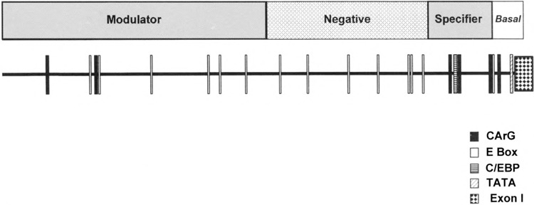 FIG. 6