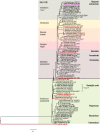 FIG 6