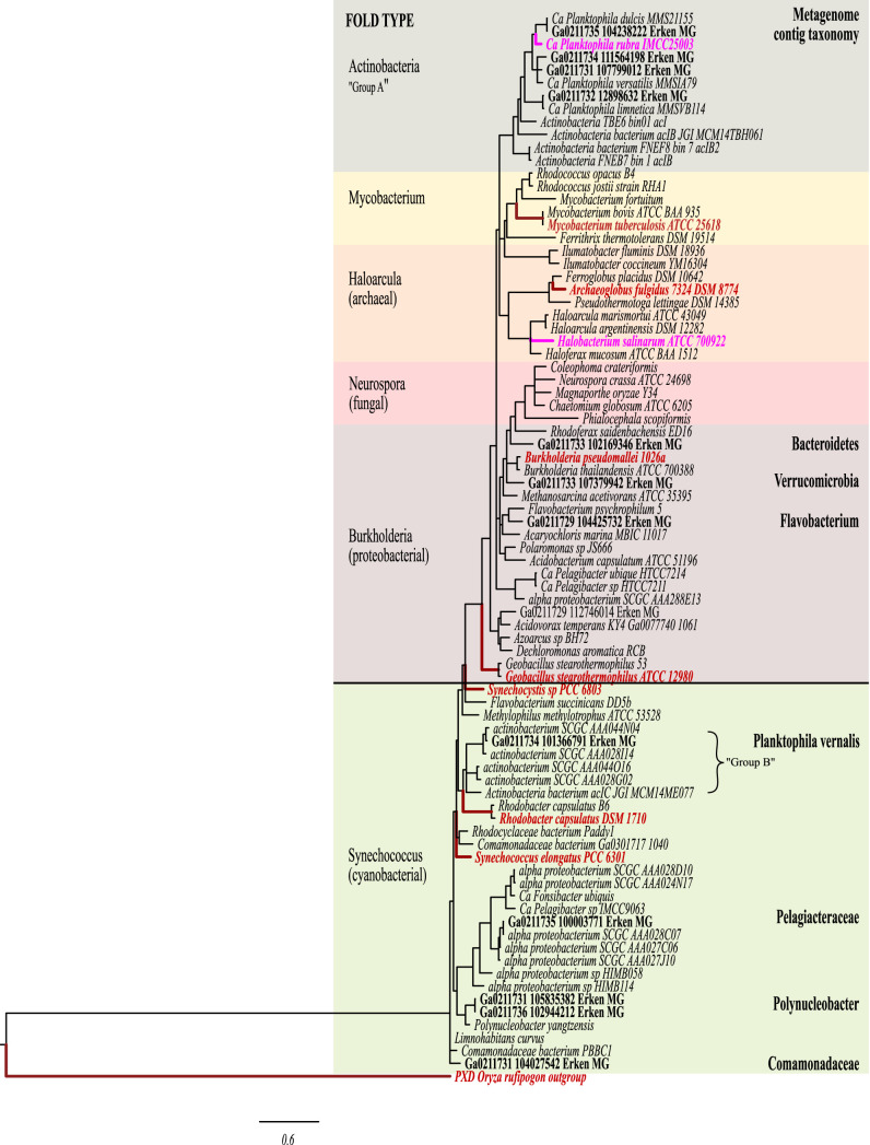 FIG 6