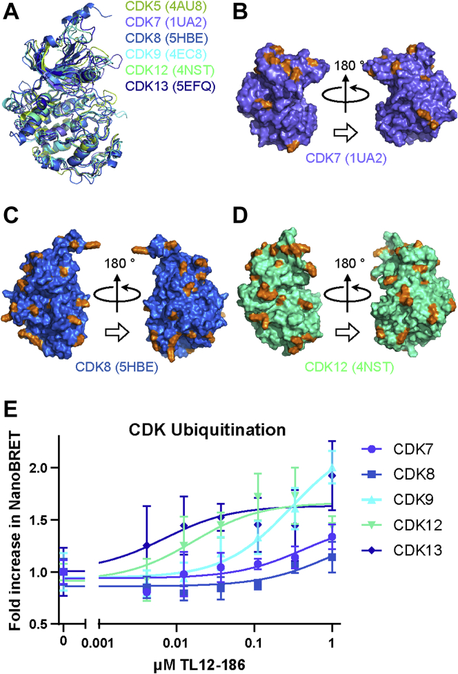 Figure 5