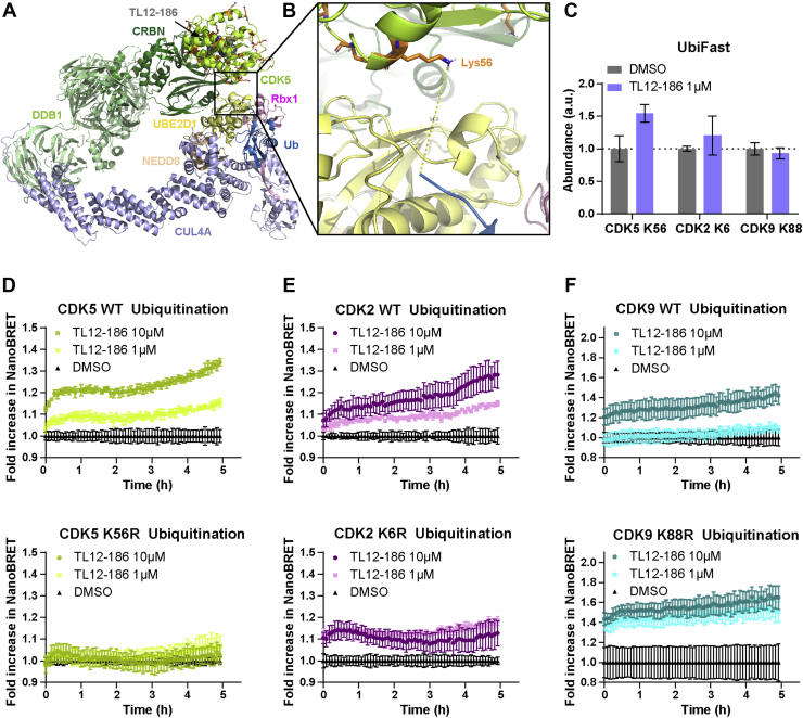 Figure 6