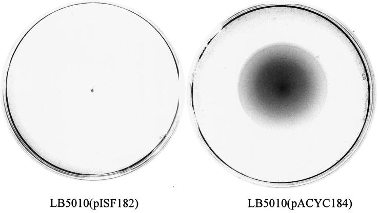 FIG. 2.