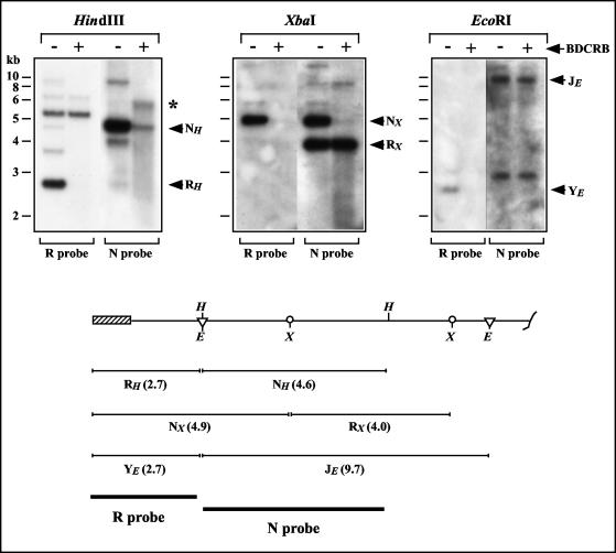 FIG. 6.