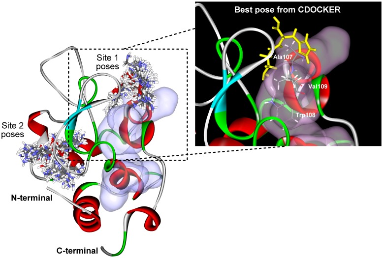 Figure 6