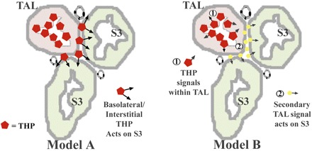 Fig. 9.