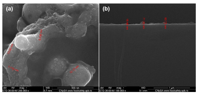 Figure 16