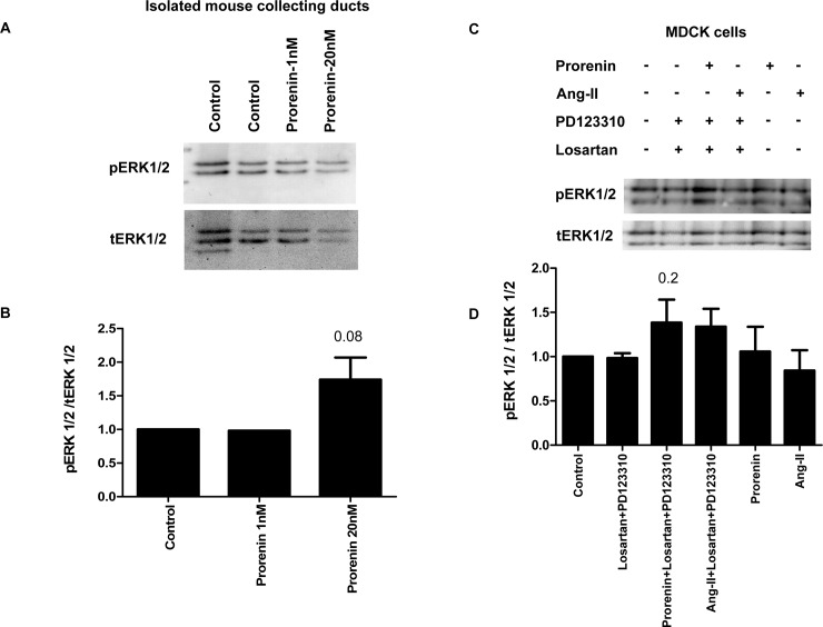 Fig 10