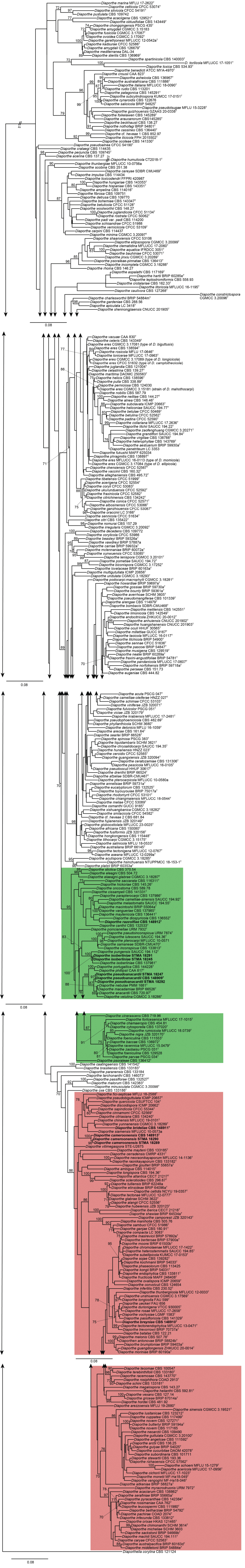 Figure 1.