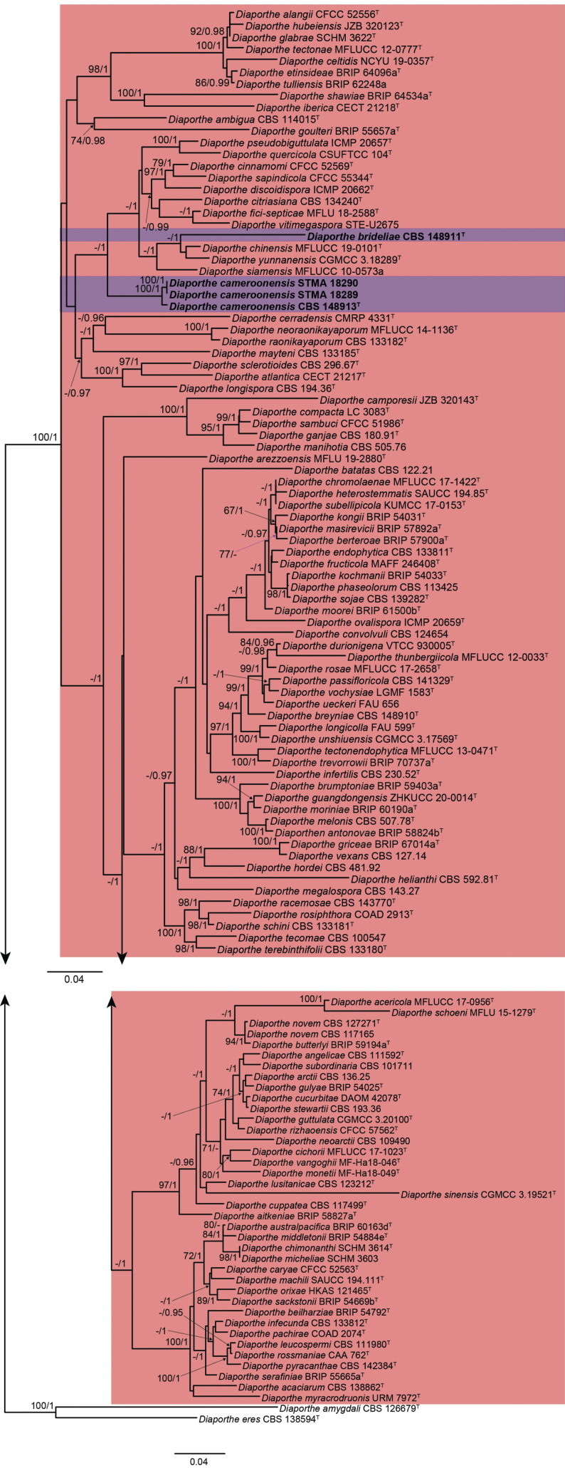 Figure 2.