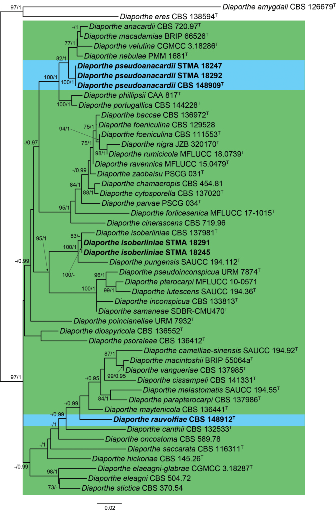 Figure 3.