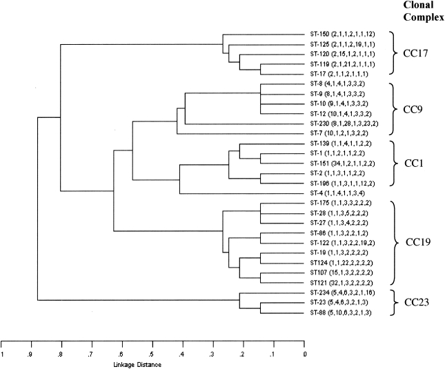 FIG. 1.