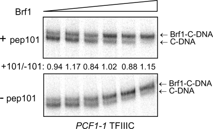 FIG. 7.