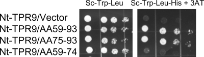 FIG. 2.