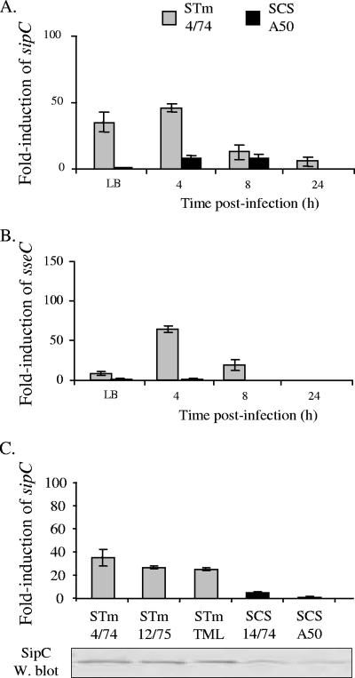 FIG. 6.