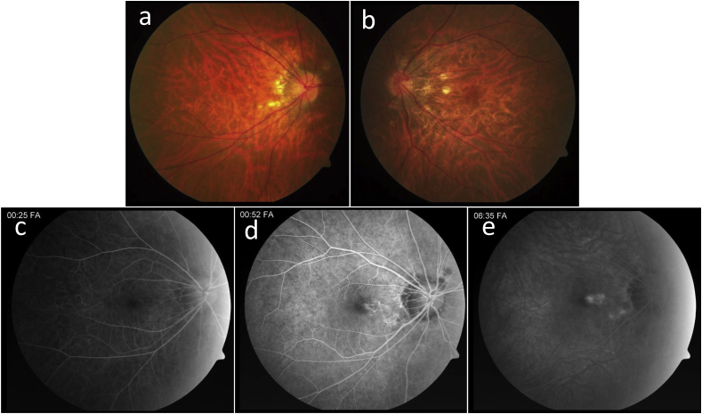 Fig. 3