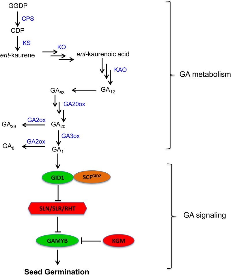 FIGURE 2