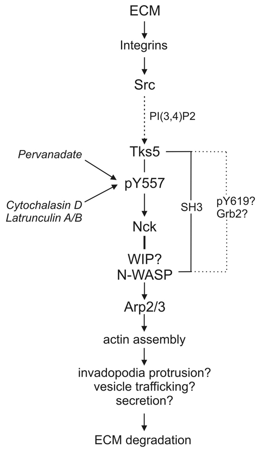 Fig. 9.