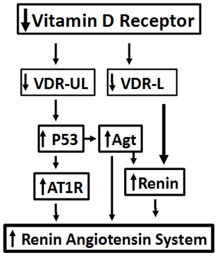 Fig. 10