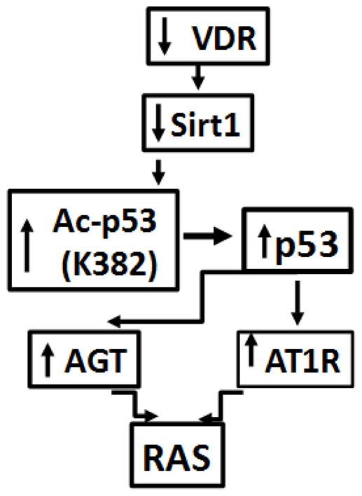 Fig. 9