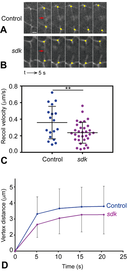 Figure 4: