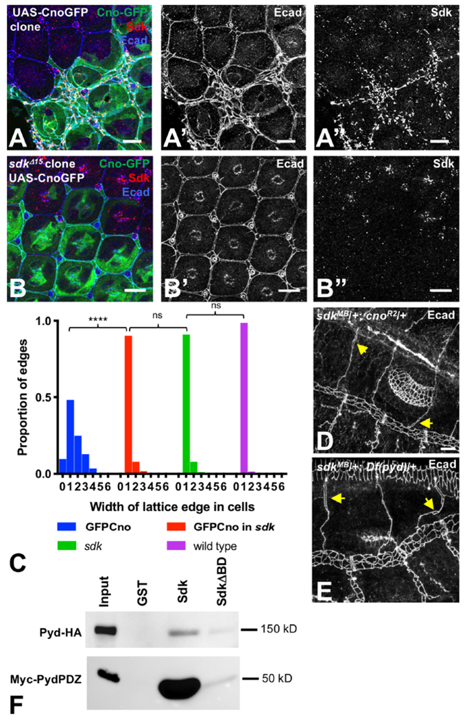 Figure 6: