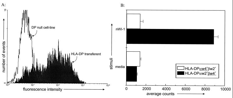 FIG. 6